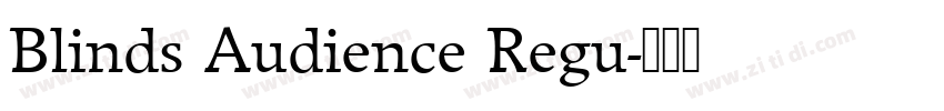Blinds Audience Regu字体转换